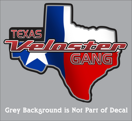 Official Texas Veloster Gang Decals
